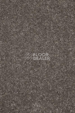 Ковролин AW Invictus Atticus Atticus 49 фото 1 | FLOORDEALER